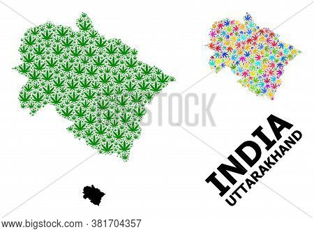 Vector Weed Mosaic And Solid Map Of Uttarakhand State. Map Of Uttarakhand State Vector Mosaic For Ma