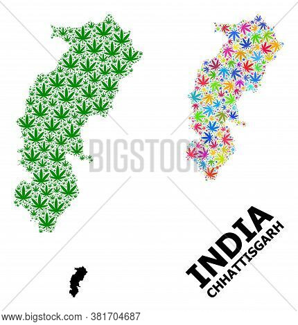 Vector Weed Mosaic And Solid Map Of Chhattisgarh State. Map Of Chhattisgarh State Vector Mosaic For 