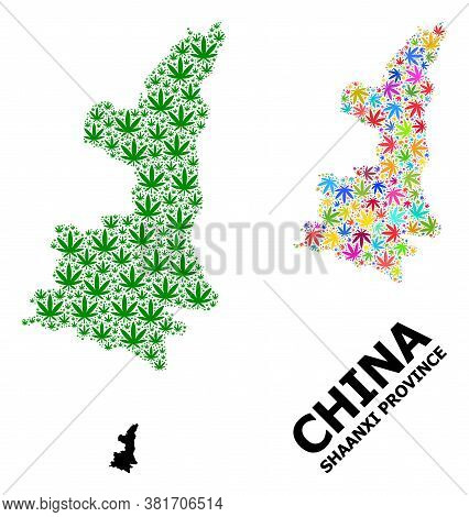 Vector Cannabis Mosaic And Solid Map Of Shaanxi Province. Map Of Shaanxi Province Vector Mosaic For 