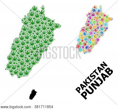 Vector Weed Mosaic And Solid Map Of Punjab Province. Map Of Punjab Province Vector Mosaic For Weed L
