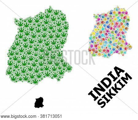 Vector Weed Mosaic And Solid Map Of Sikkim State. Map Of Sikkim State Vector Mosaic For Weed Legaliz