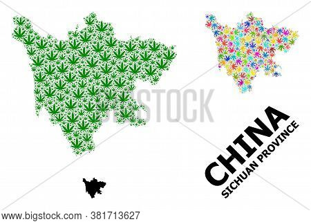Vector Hemp Mosaic And Solid Map Of Sichuan Province. Map Of Sichuan Province Vector Mosaic For Hemp