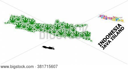 Vector Hemp Mosaic And Solid Map Of Java Island. Map Of Java Island Vector Mosaic For Cannabis Legal