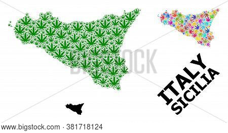 Vector Weed Mosaic And Solid Map Of Sicilia Island. Map Of Sicilia Island Vector Mosaic For Hemp Leg