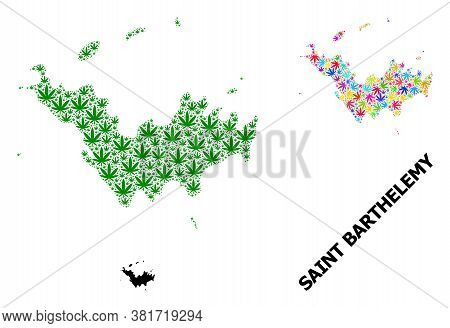 Vector Marijuana Mosaic And Solid Map Of Saint Barthelemy. Map Of Saint Barthelemy Vector Mosaic For