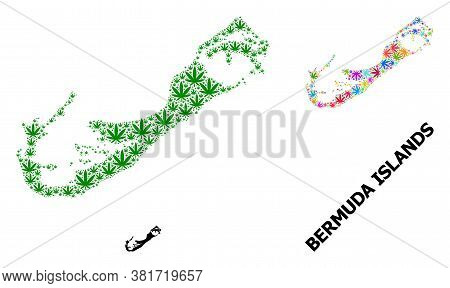 Vector Hemp Mosaic And Solid Map Of Bermuda Islands. Map Of Bermuda Islands Vector Mosaic For Hemp L