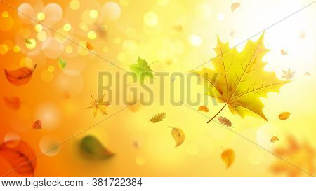 Autumn Blurred Background With Falling Leaves. For Your Design.