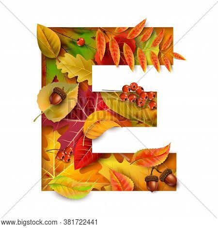 Autumn Blurred Background With Falling Leaves. For Your Design.