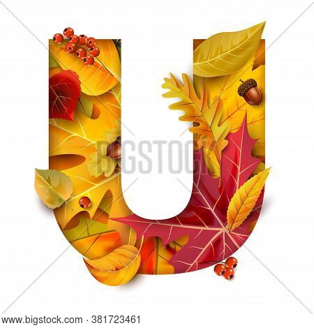 Autumn Blurred Background With Falling Leaves. For Your Design.