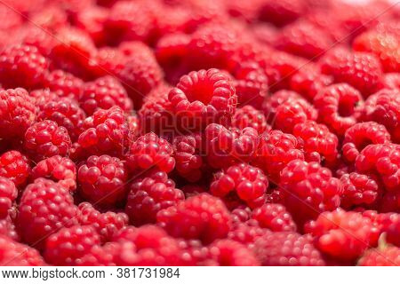 Detail Of Fresh And Sweet Raspberries.berries.raspberry Fruit Background. Beautiful Selection Of Fre