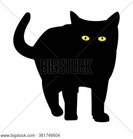 Black Cat Silhouette On A White Background
