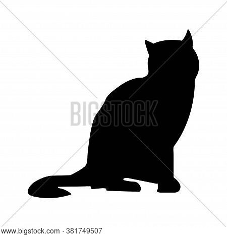 Black Cat Silhouette On A White Background