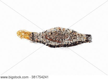 Macro Photography Of Case Bearing Clothes Moth Cocoon On White Background