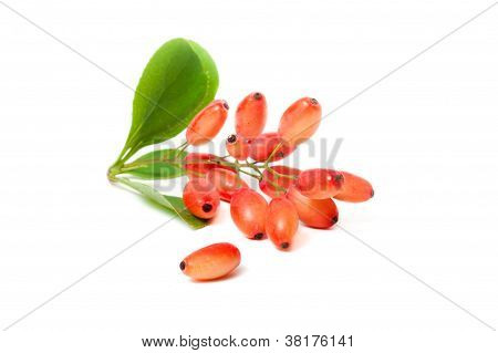 Berry