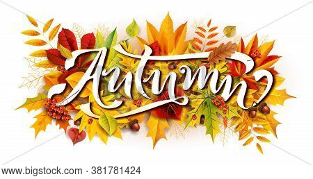 Autumn Blurred Background With Falling Leaves. For Your Design.