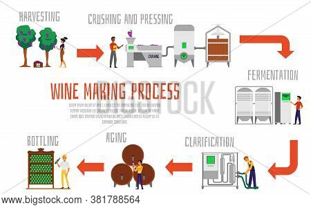 Wine Making Process Banner Template - Set Of Steps From Grapes To Alcohol
