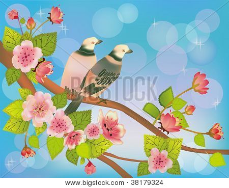 Uccello di Sakura. cartolina
