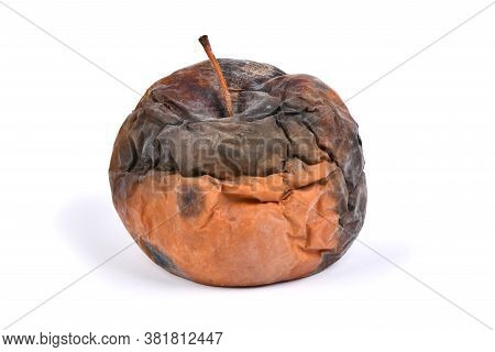 Old Rotten Apple Isolated On White Background. High Resolution Photo. Full Depth Of Field.