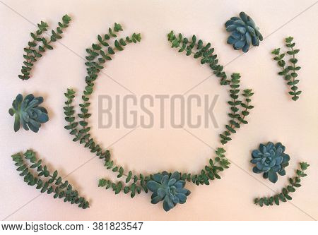 Frame Of Green Blue Succulents On A Light Paper Background With Space For Text. Top View, Flat Lay.