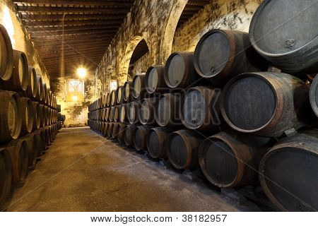 Vecchio vino Celler con botti di legno