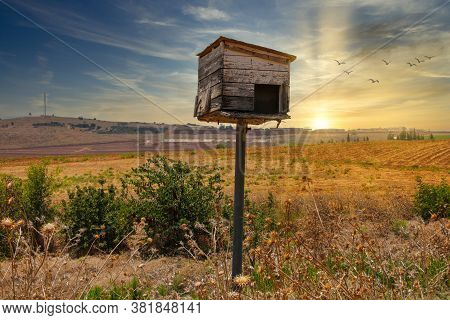 Wooden Dovecote In The Field At Sunset. Pigeon Dovecote.