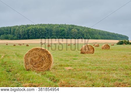 A Haystack In The Form Of Rolls On An Agricultural Field. Rural Landscape.