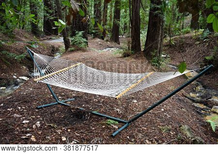 Wonderful Spot To Relax In A Hammock In The Woods Next To A Babbling Brook.