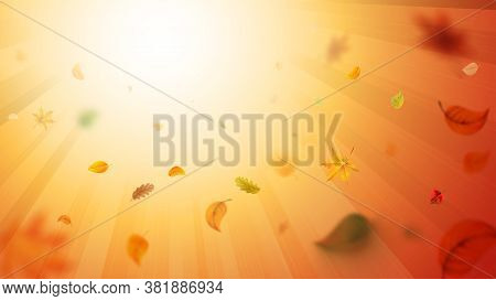 Autumn Blurred Background With Falling Leaves. For Your Design.