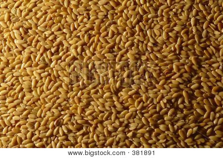 Nasiona Texcture