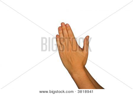 Praying Hands