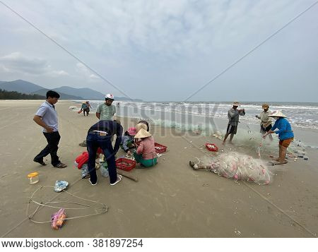 Hue, Quang Nam Province, Vietnam - January, 20, 2020: People\\\\\\\'s daily life at the fishing village near Hue, they are collecting fresh fishes from the boat, sorting fishes and sell to local people.