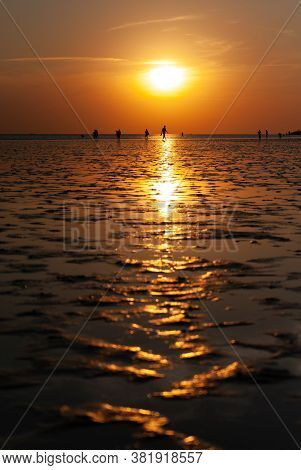 People Walking On The Wide Mudflap Beach In The Sunset Off Buesum.