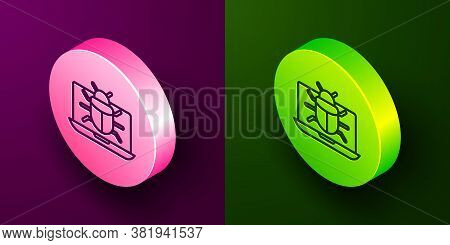 Isometric Line System Bug On Monitor Icon Isolated On Purple And Green Background. Code Bug Concept.