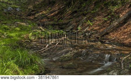 Small Waterfall On Divoky Creek Near Kouty Nad Desnou Village In Summer Day