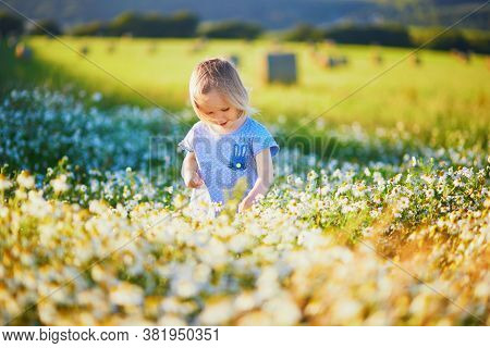 Adorable Toddler Girl Amidst Green Grass And Beauitiful Daisies On A Summer Day. Little Child Having