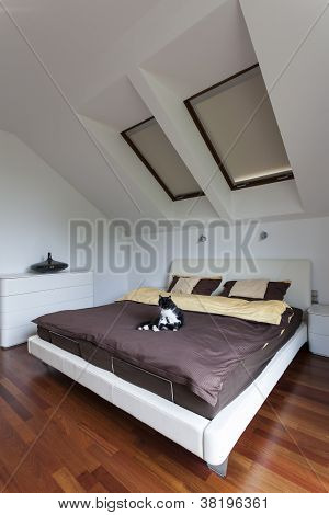 Cat In Bedroom
