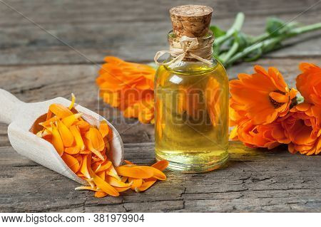 Glass Bottle Of Calendula Essential Oil With Fresh Marigold Flowers On Rustic Table. Aromatherapy Ma