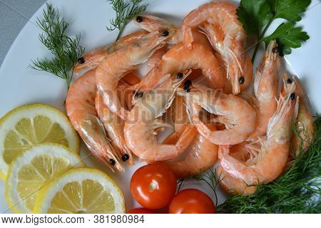 Prawns (latin. Caridea) As Food - Delicacy