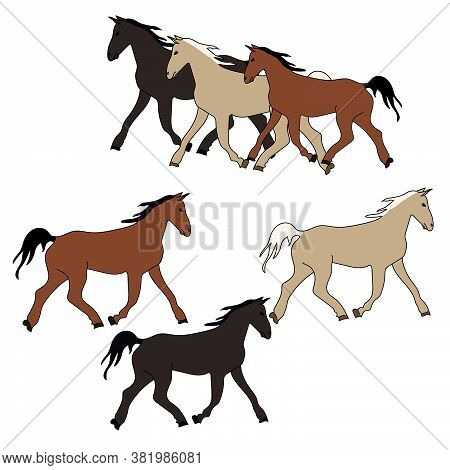 Set Of Horses Of Various Colors Running Side By Side And Separately, A Horse Of Dark And Light Color