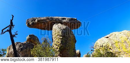 Chiracahua National Monument Mushroom Hoodoo With Green Lichens