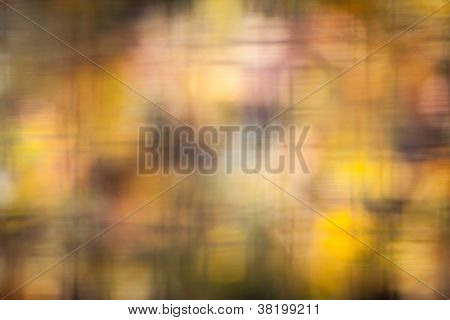 natura bokeh strisce