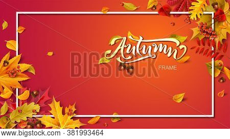 Autumn Frame Composition With Fallen Leaves. For Your Design.