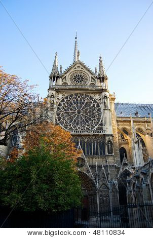 Catedral de Notre Dame