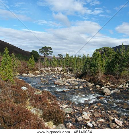 Montanhas de Cairngorms, Gleann Laoigh Bheag, Escócia, em Primavera
