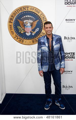NEW YORK-JUNE 25: Actor Omar Sharif Jr. attends the premiere of 