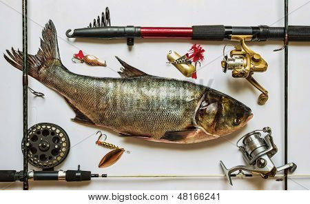 Fisk med stænger og Tackle