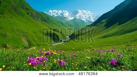 Valle del fiume Inguri vicino Ushguli, Svaneti, Georgia. Monte Shkhara sullo sfondo