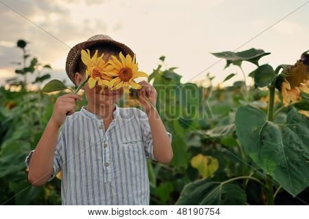 Kind in Sonnenblumen