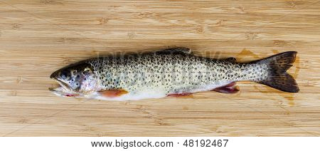 Čerstvý divoká Pstruh na přirozené bambusové dřevo