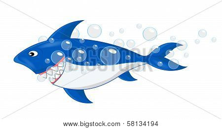Shark and Bubble Vector